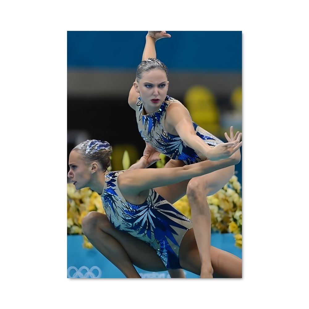 Poster Harmonie Gymnique